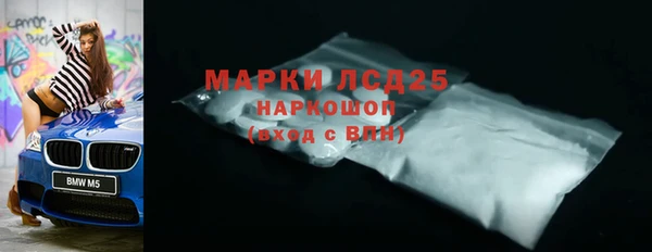 хмурый Каменногорск