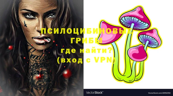 хмурый Каменногорск