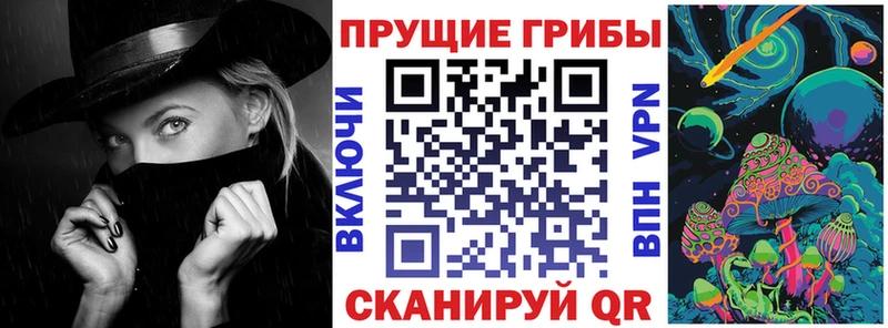 Купить закладки  Мурманск  Галлюциногенные грибы Psilocybe 