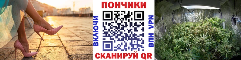Бошки Шишки сатива Мурманск